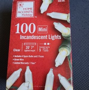 Home Accents Holiday Mini Lights